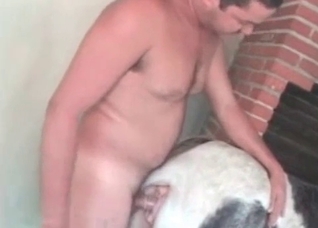 Chubby Latino lover fucks a hot animal