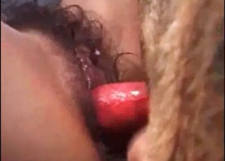 Hairy cunt ruined by a hot dog cock