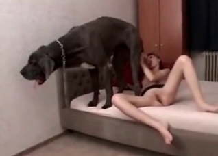 Redhead takes her dog's massive load
