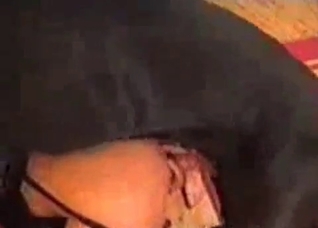 Doggy style fuck-fest with a nasty dog
