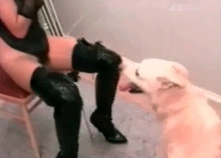Extreme action featuring a horny mutt