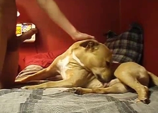 Dude and his submissive sexy dog