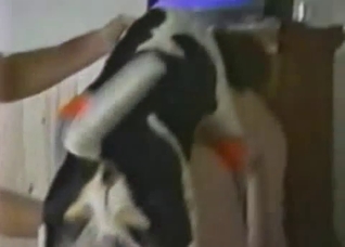 Doggy style violation with a doggo