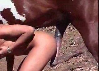 Massive cock horse destroys this bitch