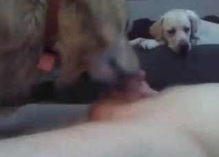 Amazing blowjob from a kinky dog