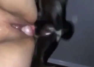 Dirty dog drills that hot hole here