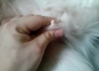 Dude fingering his pet's perfect hole
