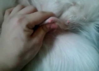 Dude fingering his pet's perfect hole