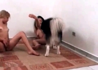 Two girls are obsessed with dog cocks