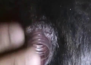 That pussy looks so fucking lickable