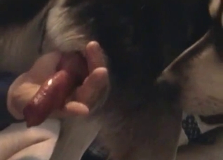 Amazing zoo sex with close-ups