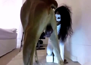 Ebony slut in a white bodysuit fucks a dog