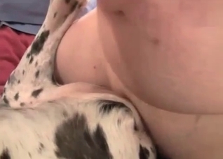 What a fantastic bestiality sex video