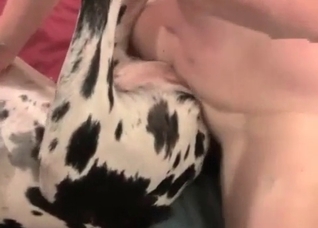 What a fantastic bestiality sex video
