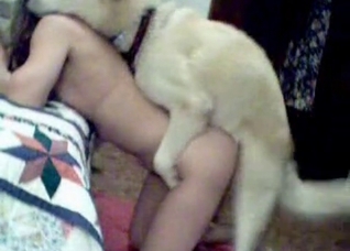 Smooth pussy gaped by a horny dog