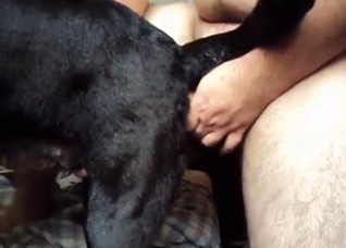 Dude rams his cock up that dog's hole