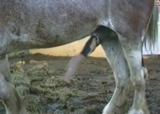 That cock is gonna get bigger and bigger