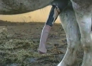 That cock is gonna get bigger and bigger