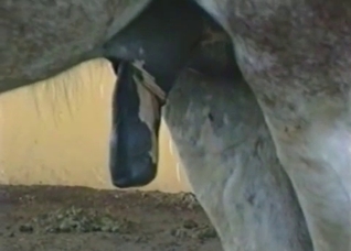That cock is gonna get bigger and bigger