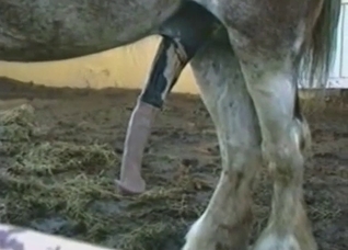 That cock is gonna get bigger and bigger