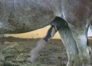 That cock is gonna get bigger and bigger