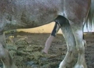 That cock is gonna get bigger and bigger