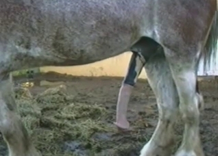 That cock is gonna get bigger and bigger