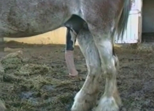 That cock is gonna get bigger and bigger