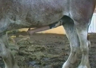 That cock is gonna get bigger and bigger