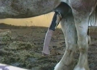 That cock is gonna get bigger and bigger