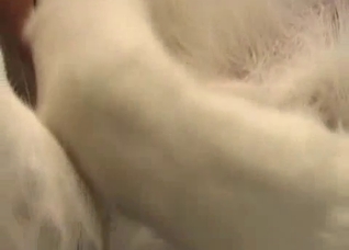Intense action, brutal fingering, etc.