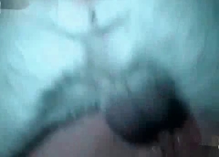 Fantastic sex with a horny zoophile