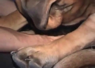 That dog cock is so fucking beautiful