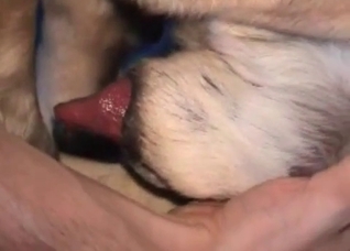 That dog cock is so fucking beautiful
