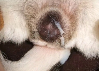 Dude is obsessed with that hole