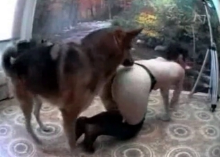 She's shaking that ass like a slut