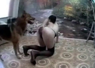 She's shaking that ass like a slut
