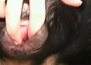 Dude fucking his good doggy here