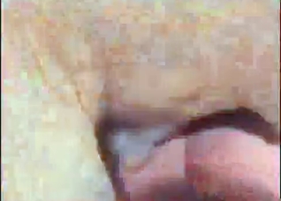 Dog licking and sniffing that cunt