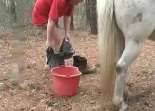 White horse about to be seduced