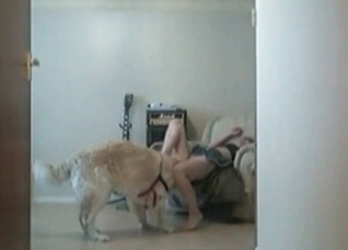 Young girl rape baiting a doggo