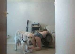 Young girl rape baiting a doggo