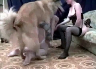 Incredible threesome bestiality here