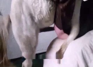 Extremely hot bestiality action here