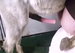 Extremely hot bestiality action here