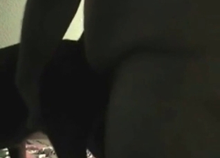 Close-up fucking with a horny beast
