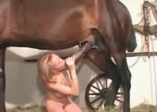 Blonde enjoys jerking off horses