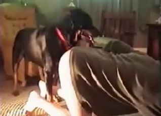 Extremely hot bestiality video for you