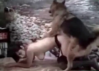 Very violent dog banging video here