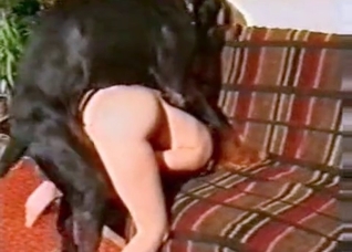 She's waiting for that perfect cock